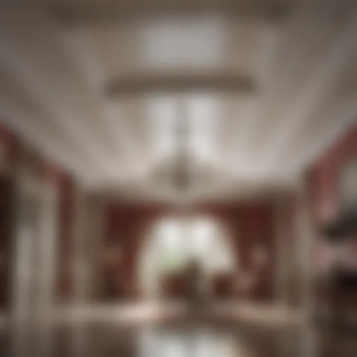 Achieving Immaculate Results with Ceiling Stain Spray