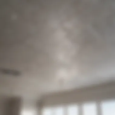 Revolutionary Stain Removal Approach Innovative Ceiling Stain Spray Technique