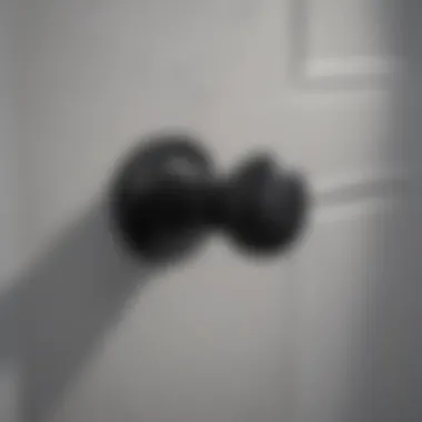 Minimalist Matte Black Door Handle Sleek and modern minimalist door handle in matte black