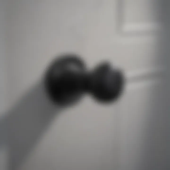 Minimalist Matte Black Door Handle Sleek and modern minimalist door handle in matte black