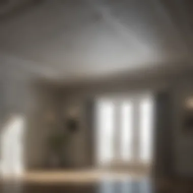 Innovative techniques for textured flat ceiling paint