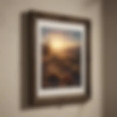 Durable picture hook for heavy frames on plaster walls