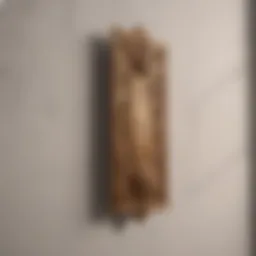 Elegant picture hook on plaster wall