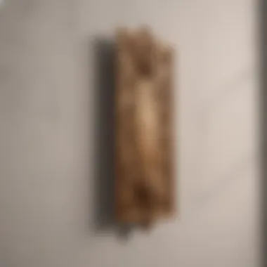 Elegant picture hook on plaster wall