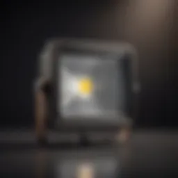 Illuminated LED Flood Light