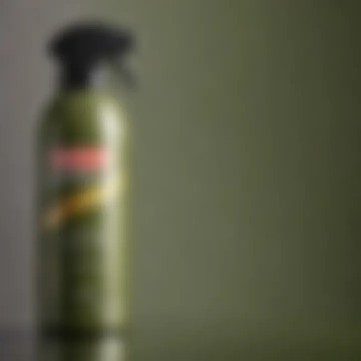 Artistic representation of Krylon olive green spray paint versatility