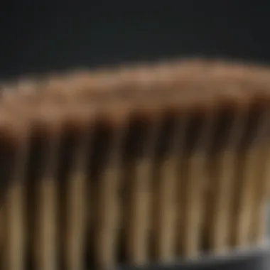 Close-Up of Mini Brass Brush Bristles