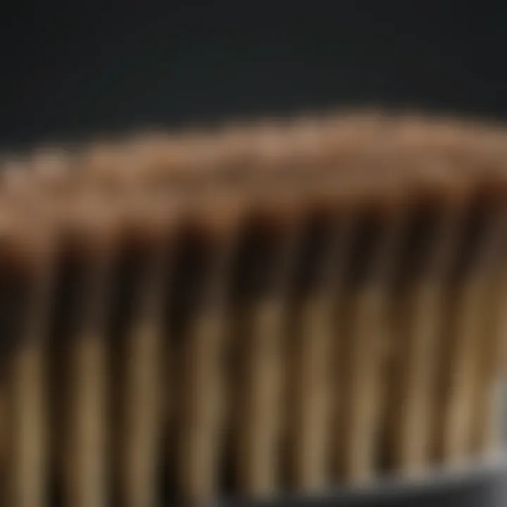 Close-Up of Mini Brass Brush Bristles