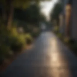 Illuminate Your Pathway