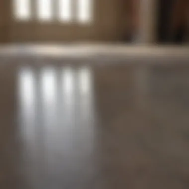 Achieving a Professional Floor Finish Professional Floor Finish