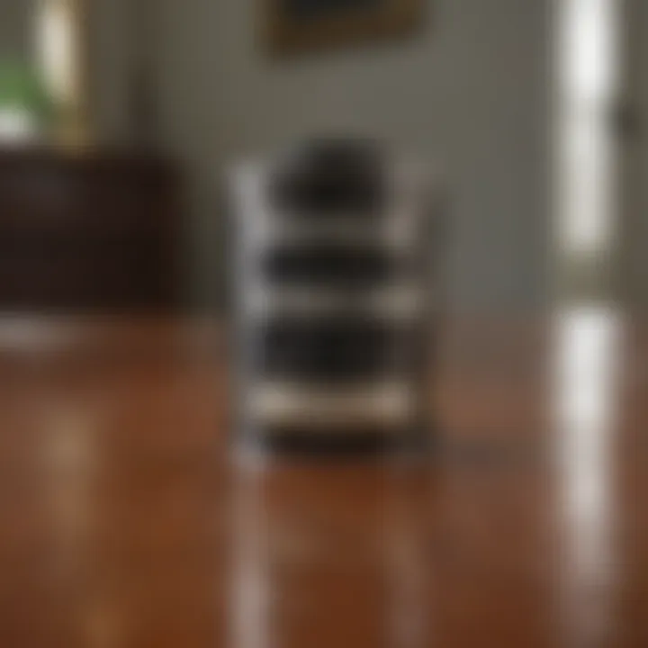 DIY Project Enhancement Rust-Oleum Sealer