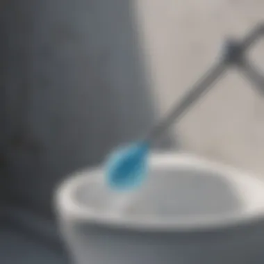Convenience of using Scrubbing Bubbles Toilet Cleaner Wand