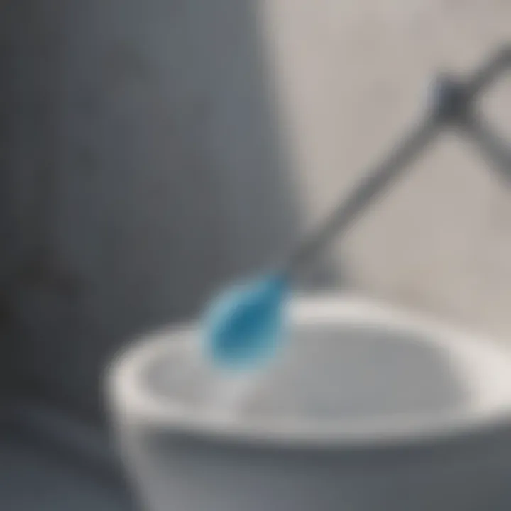Convenience of using Scrubbing Bubbles Toilet Cleaner Wand