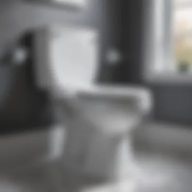 Spotless toilet achieved with Scrubbing Bubbles Toilet Cleaner Wand