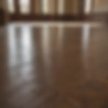 Gleaming Finished Floor Floor shining brightly after paste wax application