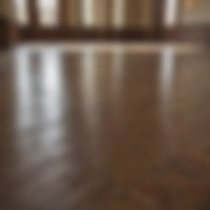 Gleaming Finished Floor Floor shining brightly after paste wax application