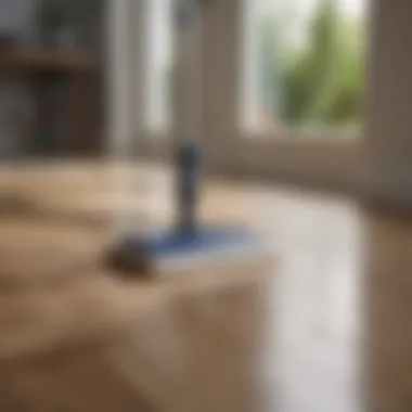 Shiny Laminate Flooring with Bona Spray Mop