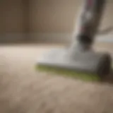 Eco-friendly Carpet Cleaning Solution Eco-friendly carpet cleaning solution