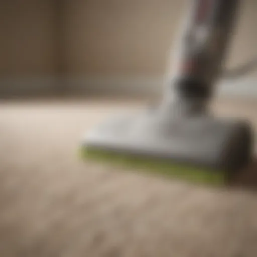 Eco-friendly Carpet Cleaning Solution Eco-friendly carpet cleaning solution