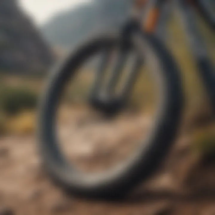 Illustration of Bell mountain bike tire mounted on a bike in a rugged terrain