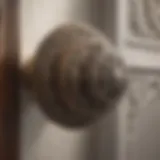Close-up of a decorative door knob showcasing intricate design.