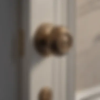 The Functional Role of a Well-Maintained Door Knob A well-maintained door knob reflecting its functional importance.