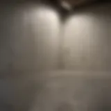Drylok sealer applied to a basement wall