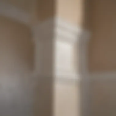 The Importance of Maintenance for Corner Guards Example of a well-maintained drywall corner guard in a building