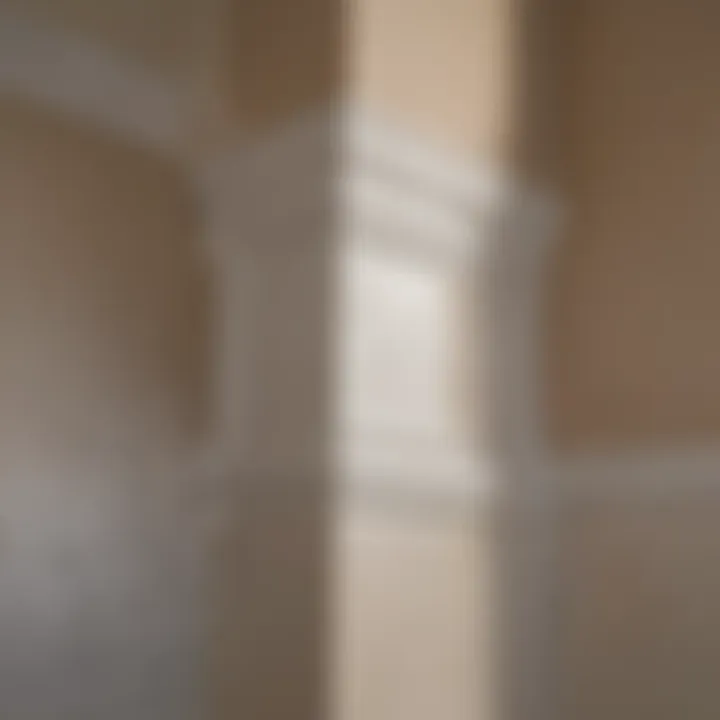 The Importance of Maintenance for Corner Guards Example of a well-maintained drywall corner guard in a building