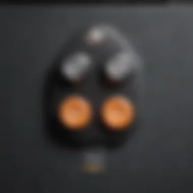 Features of Dual Garage Door Opener Remote Control Close-up of a dual garage door opener remote control showcasing buttons and features.