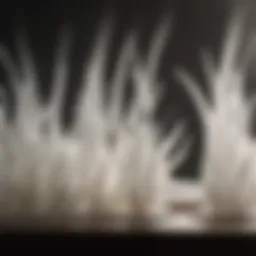 Detailed close-up of a humidifier wick showcasing its unique composition and texture