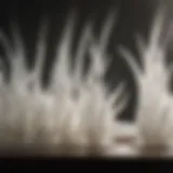 The Unique Composition of Humidifier Wicks Detailed close-up of a humidifier wick showcasing its unique composition and texture