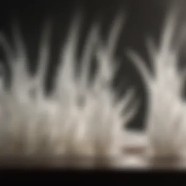 The Unique Composition of Humidifier Wicks Detailed close-up of a humidifier wick showcasing its unique composition and texture