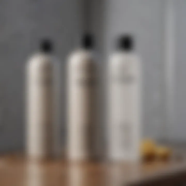 Infographic showcasing different types of moisture removers and their functions