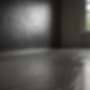 Effective Application Techniques Application of Mold Armor House Wash on a surface