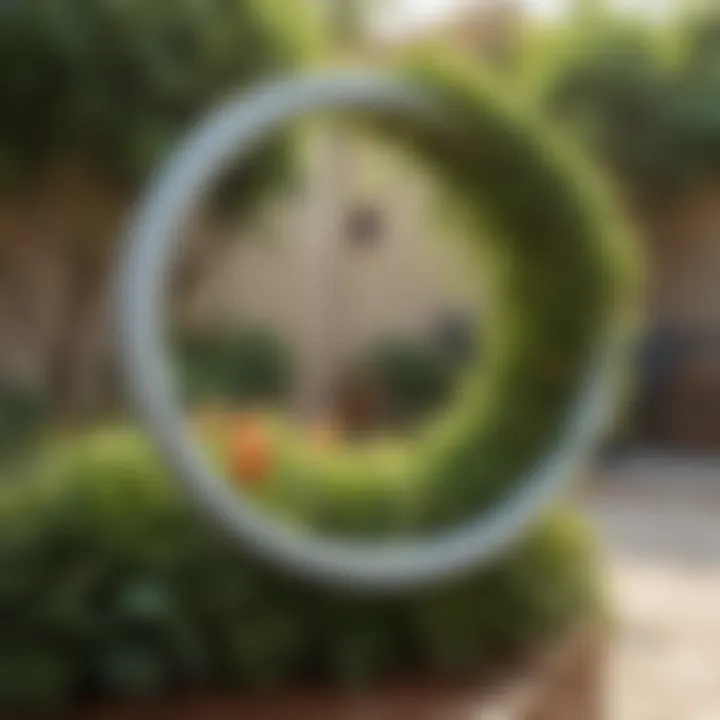 A close-up view of a plastic plant support ring holding a flowering plant upright in a garden setting.