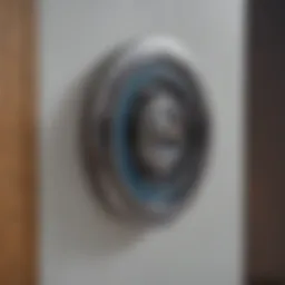 Detailed view of pocket door ball bearing roller