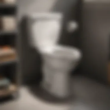 Guide showcasing toilet flange selection at Home Depot