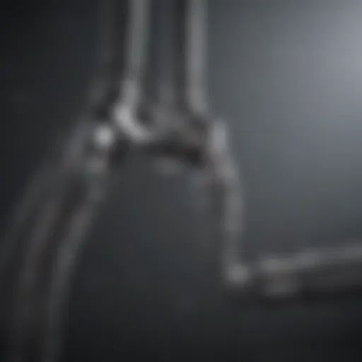 Design of a dual hose bib showcasing its features