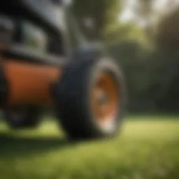 Close-up of the surface texture after using a lawn roller on grass