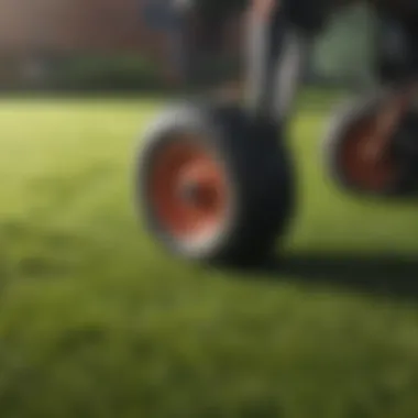 Different Types of Lawn Rollers Various types of lawn rollers displayed together