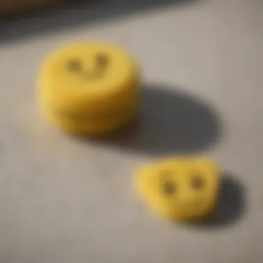 Close-up of materials used in Scrub Daddy sponge caddy