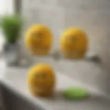 Overview of Scrub Daddy sponge caddy showcasing its unique design