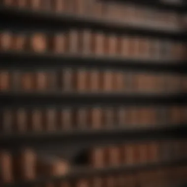 Selection of commercial copper tarnish removers displayed on a shelf.