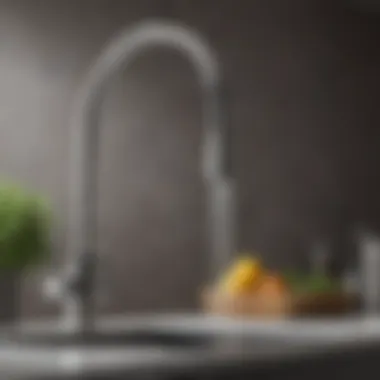 Elegant design of a universal kitchen sprayer