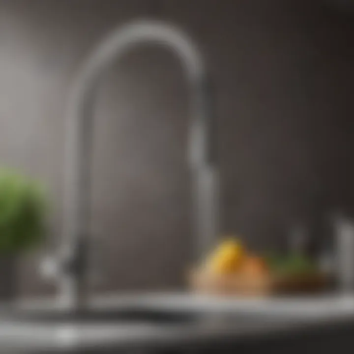Elegant design of a universal kitchen sprayer