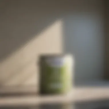 Eco-Friendly Features of Valspar Interior Paint Eco-friendly label on Valspar paint highlighting its sustainable properties