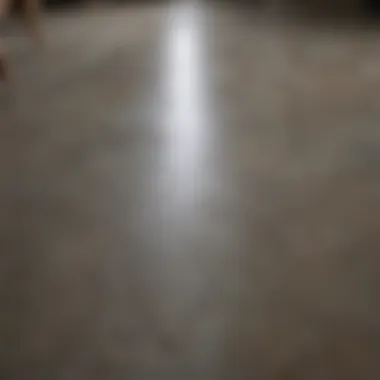 The Elegant Finish of Valspar Etching Concrete Stain Finished look of stained concrete