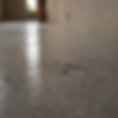 Overcoming Common Challenges in Staining Tips for troubleshooting concrete stain application