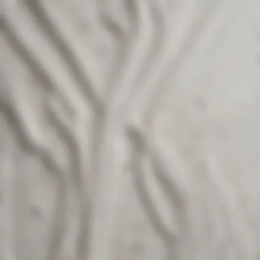 Close-up of Valspar white fence paint texture